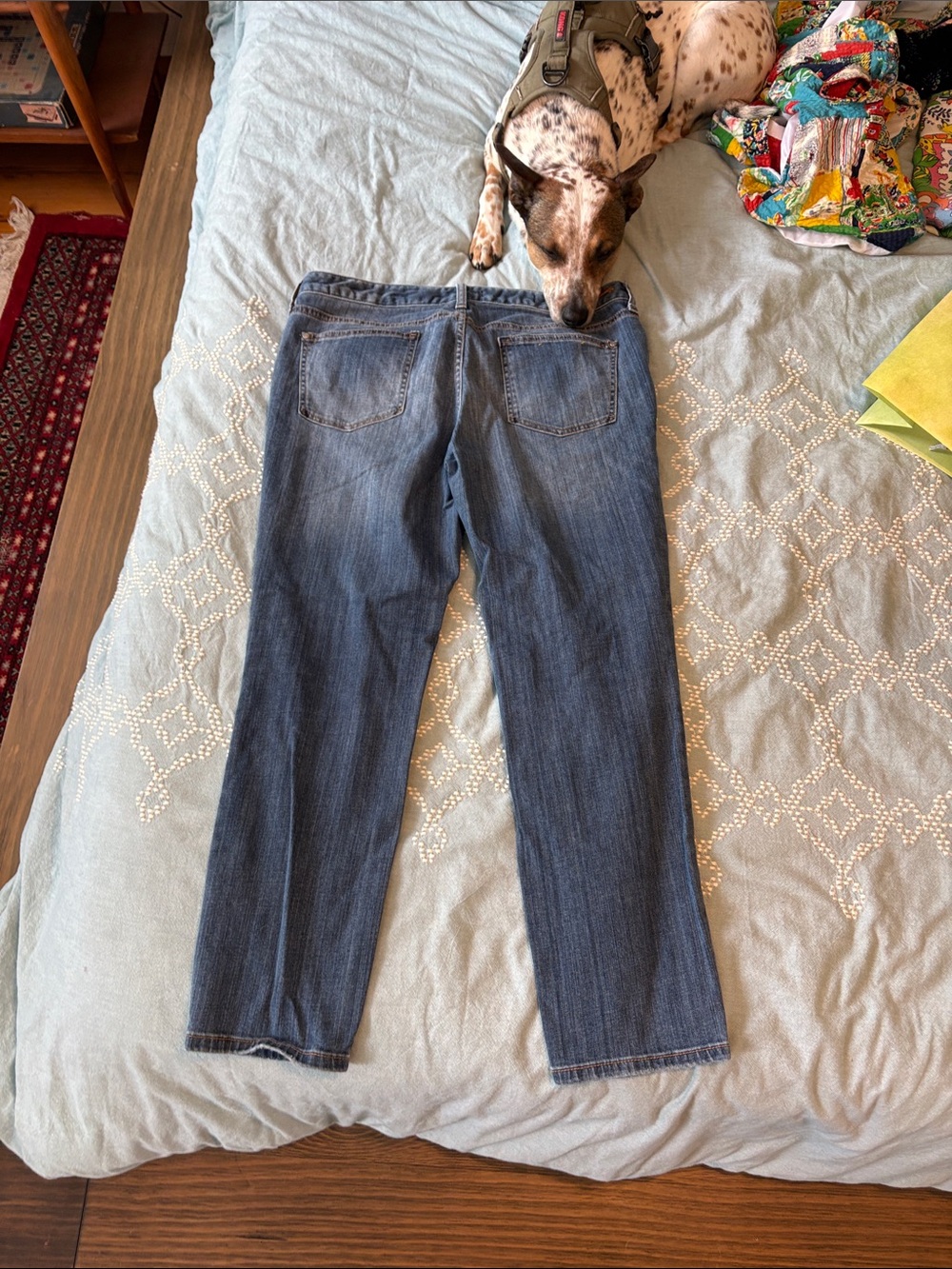 Pilcro and the Letterpress Stet straight leg jeans - Picture 8 of 10